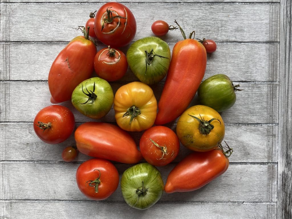 Ernte aus dem Schrebergarten