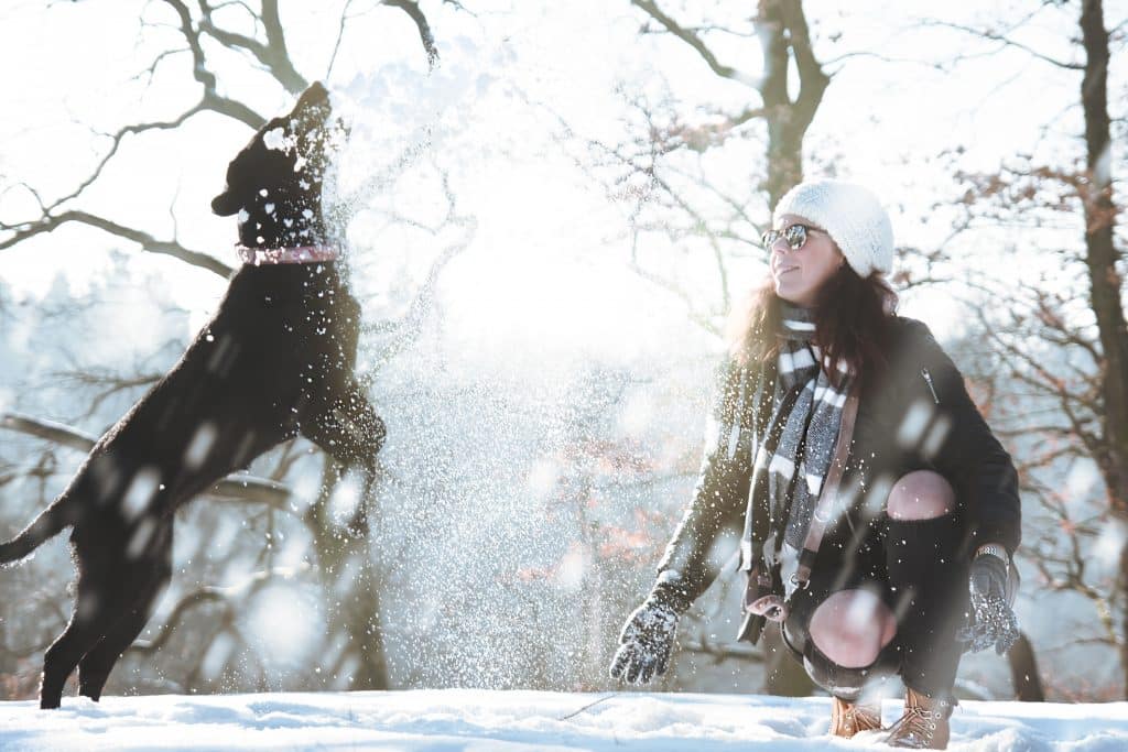 Frau tobt mit Hund im Schnee